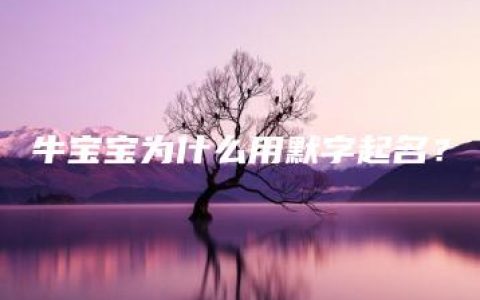 牛宝宝为什么用默字起名？