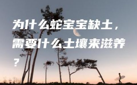 为什么蛇宝宝缺土，需要什么土壤来滋养？