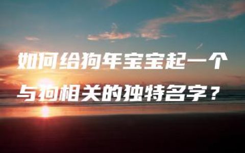 如何给狗年宝宝起一个与狗相关的独特名字？