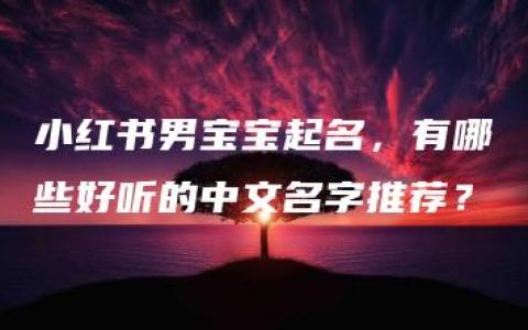 小红书男宝宝起名，有哪些好听的中文名字推荐？