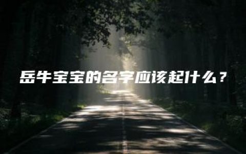 岳牛宝宝的名字应该起什么？