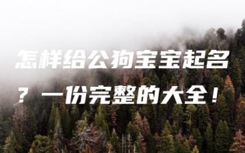 怎样给公狗宝宝起名？一份完整的大全！