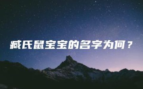 臧氏鼠宝宝的名字为何？