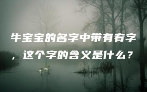 牛宝宝的名字中带有宥字，这个字的含义是什么？