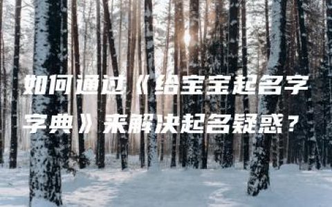 如何通过《给宝宝起名字字典》来解决起名疑惑？