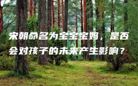 宋朝命名为宝宝宝妈，是否会对孩子的未来产生影响？