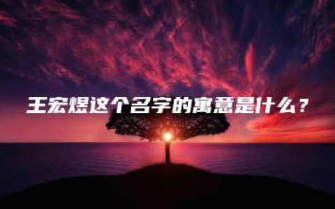 王宏煜这个名字的寓意是什么？