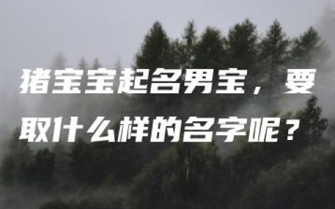 猪宝宝起名男宝，要取什么样的名字呢？