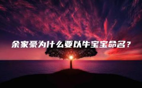 余家豪为什么要以牛宝宝命名？