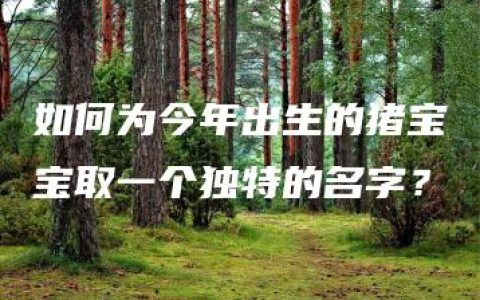 如何为今年出生的猪宝宝取一个独特的名字？