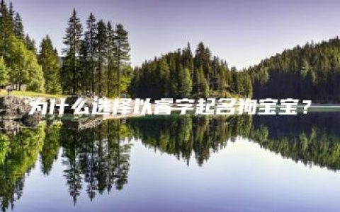 为什么选择以睿字起名狗宝宝？