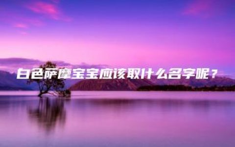 白色萨摩宝宝应该取什么名字呢？