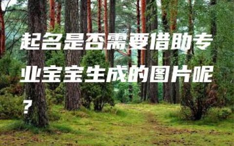 起名是否需要借助专业宝宝生成的图片呢？