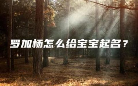 罗加杨怎么给宝宝起名？