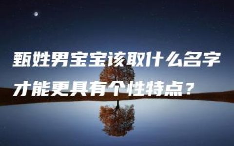 甄姓男宝宝该取什么名字才能更具有个性特点？