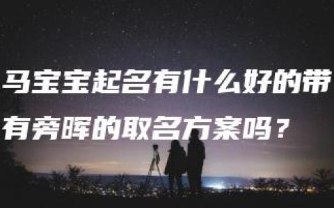 马宝宝起名有什么好的带有旁晖的取名方案吗？