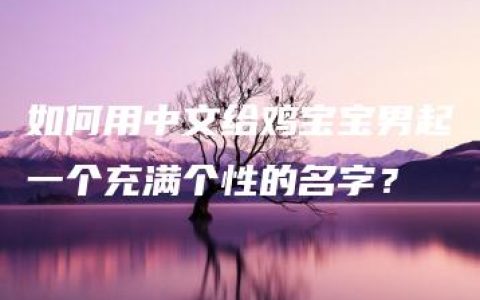 如何用中文给鸡宝宝男起一个充满个性的名字？