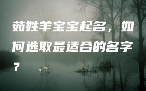 茹姓羊宝宝起名，如何选取最适合的名字？