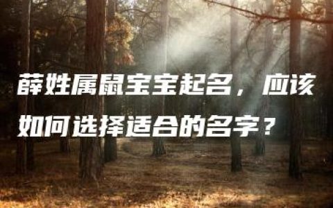 薛姓属鼠宝宝起名，应该如何选择适合的名字？