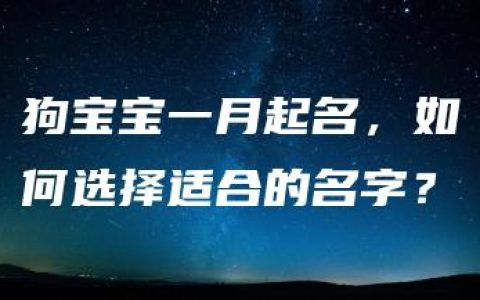 狗宝宝一月起名，如何选择适合的名字？