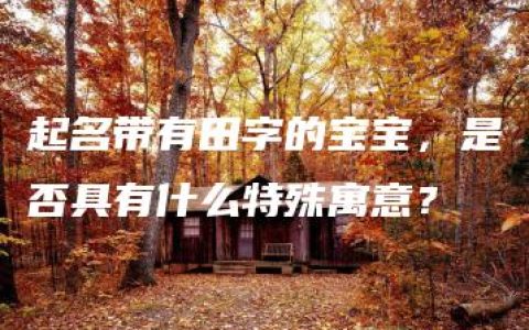 起名带有田字的宝宝，是否具有什么特殊寓意？