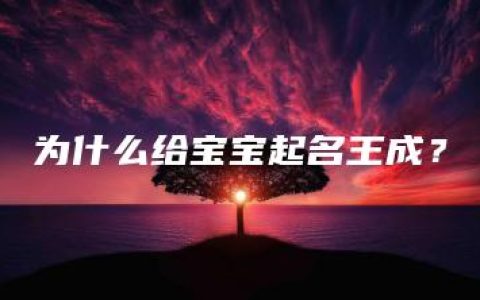 为什么给宝宝起名王成？