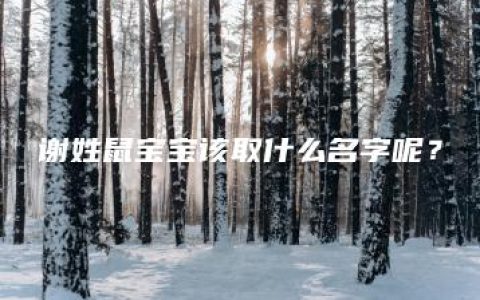 谢姓鼠宝宝该取什么名字呢？