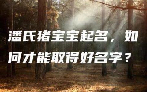 潘氏猪宝宝起名，如何才能取得好名字？