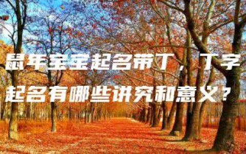 鼠年宝宝起名带丁，丁字起名有哪些讲究和意义？