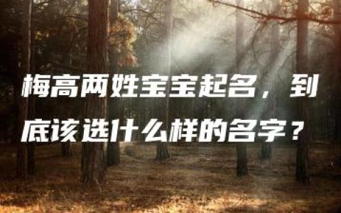 梅高两姓宝宝起名，到底该选什么样的名字？