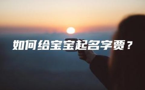 如何给宝宝起名字贾？