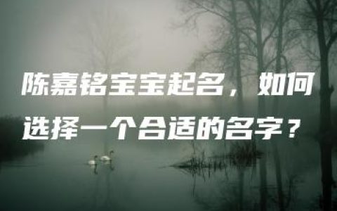 陈嘉铭宝宝起名，如何选择一个合适的名字？