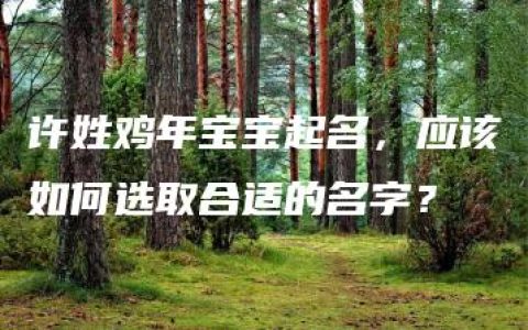 许姓鸡年宝宝起名，应该如何选取合适的名字？