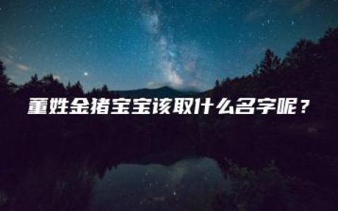 董姓金猪宝宝该取什么名字呢？