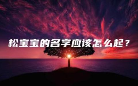 松宝宝的名字应该怎么起？