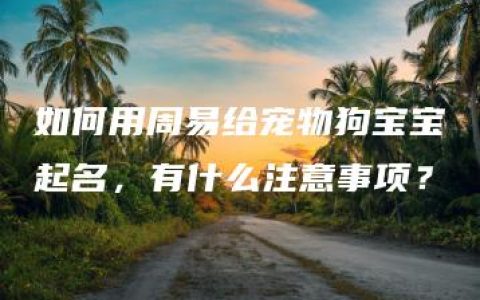 如何用周易给宠物狗宝宝起名，有什么注意事项？