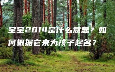 宝宝2014是什么意思？如何根据它来为孩子起名？