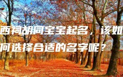 西祠胡同宝宝起名，该如何选择合适的名字呢？