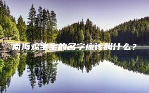 南海鸡宝宝的名字应该叫什么？