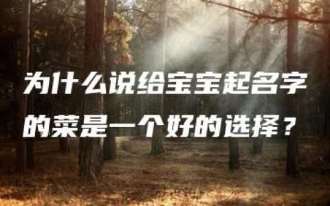 为什么说给宝宝起名字的菜是一个好的选择？