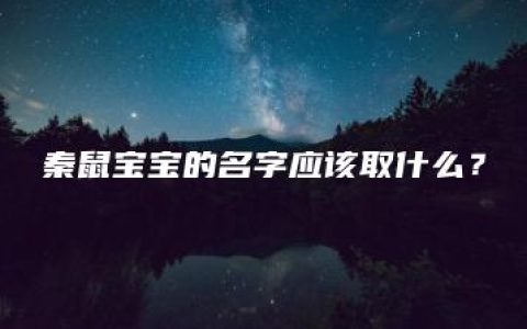 秦鼠宝宝的名字应该取什么？