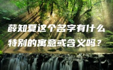 薛知夏这个名字有什么特别的寓意或含义吗？