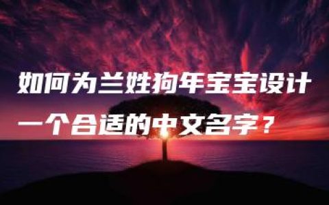 如何为兰姓狗年宝宝设计一个合适的中文名字？