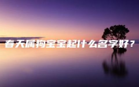 春天属狗宝宝起什么名字好？