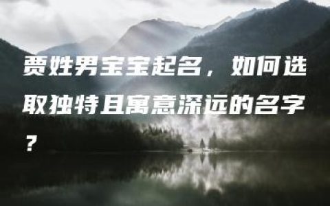 贾姓男宝宝起名，如何选取独特且寓意深远的名字？