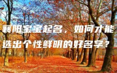 襄阳宝宝起名，如何才能选出个性鲜明的好名字？