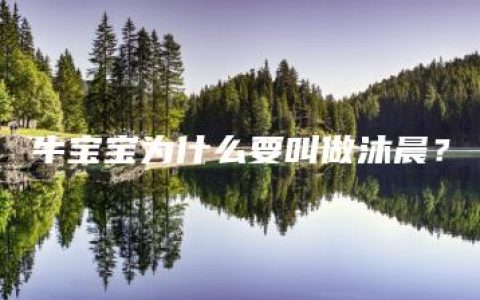 牛宝宝为什么要叫做沐晨？