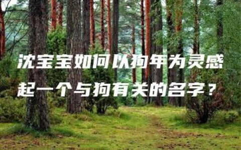 沈宝宝如何以狗年为灵感起一个与狗有关的名字？