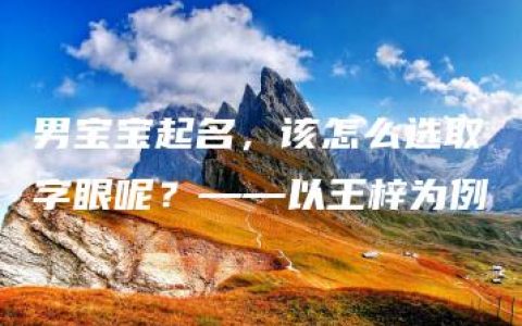 男宝宝起名，该怎么选取字眼呢？——以王梓为例