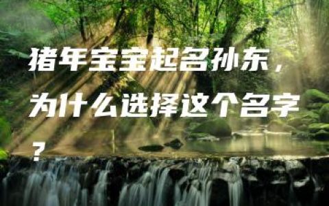 猪年宝宝起名孙东，为什么选择这个名字？